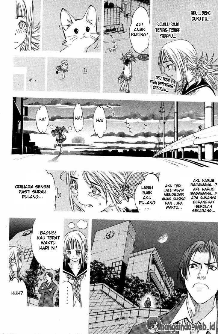 Panel 18