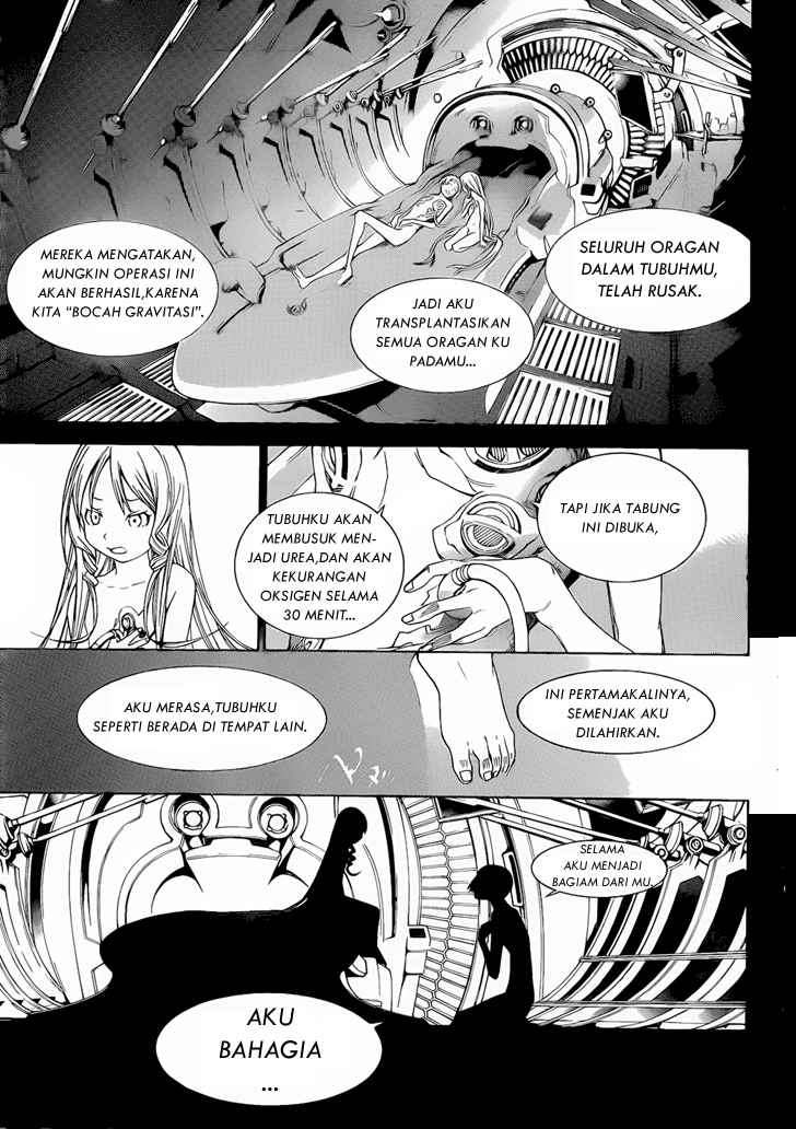 Panel 13