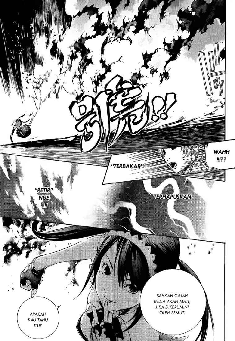 Panel 8