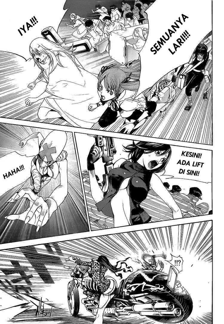 Panel 14