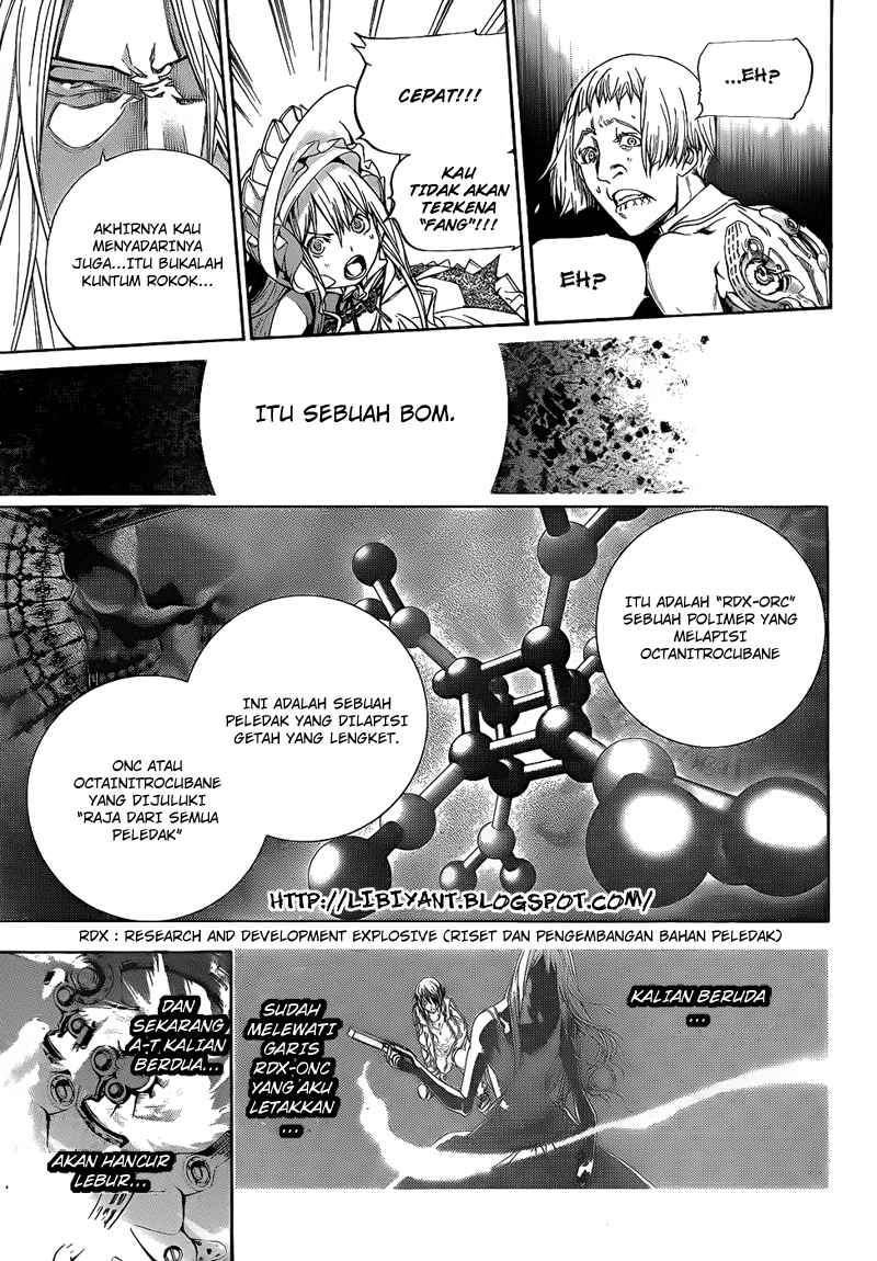 Panel 11