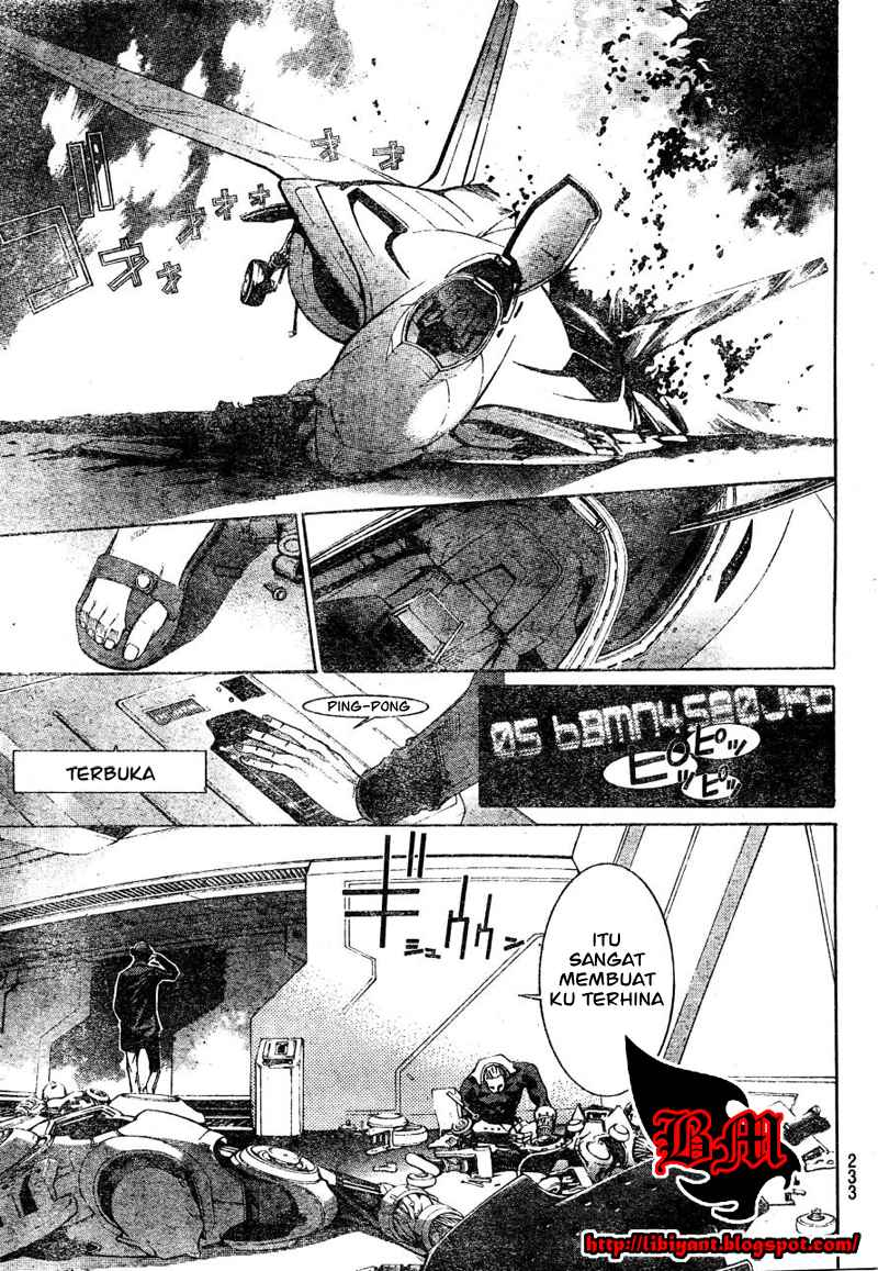 Panel 11