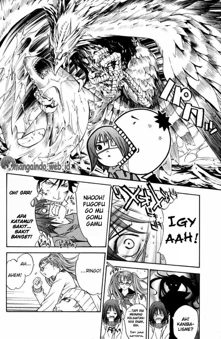 Panel 13