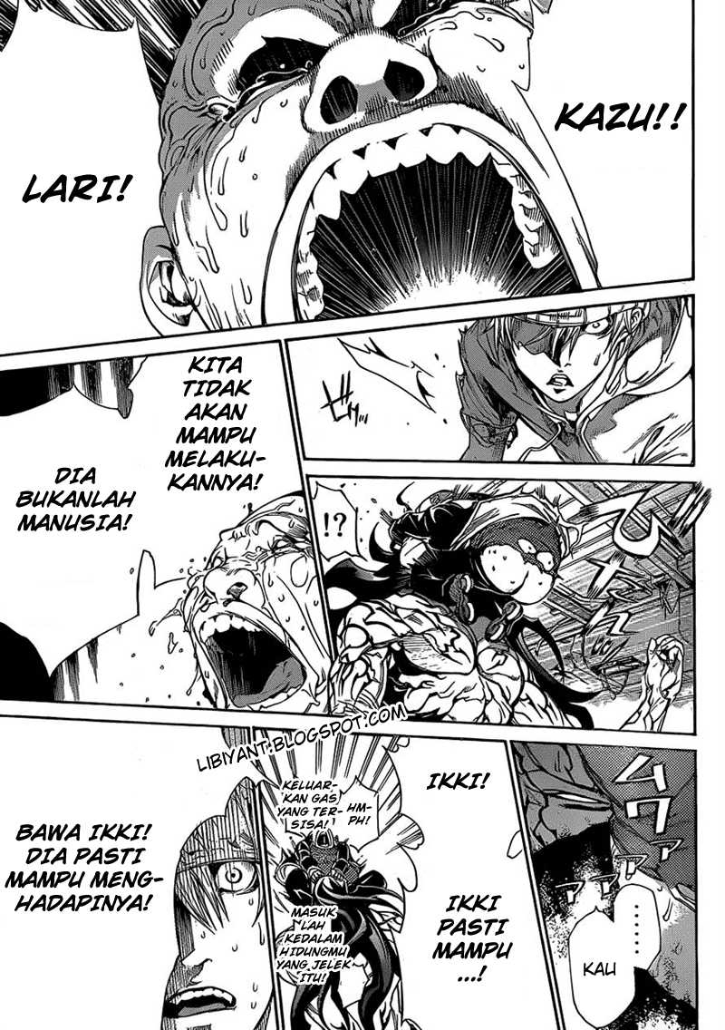 Panel 11