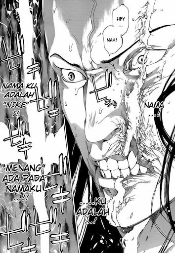 Panel 13