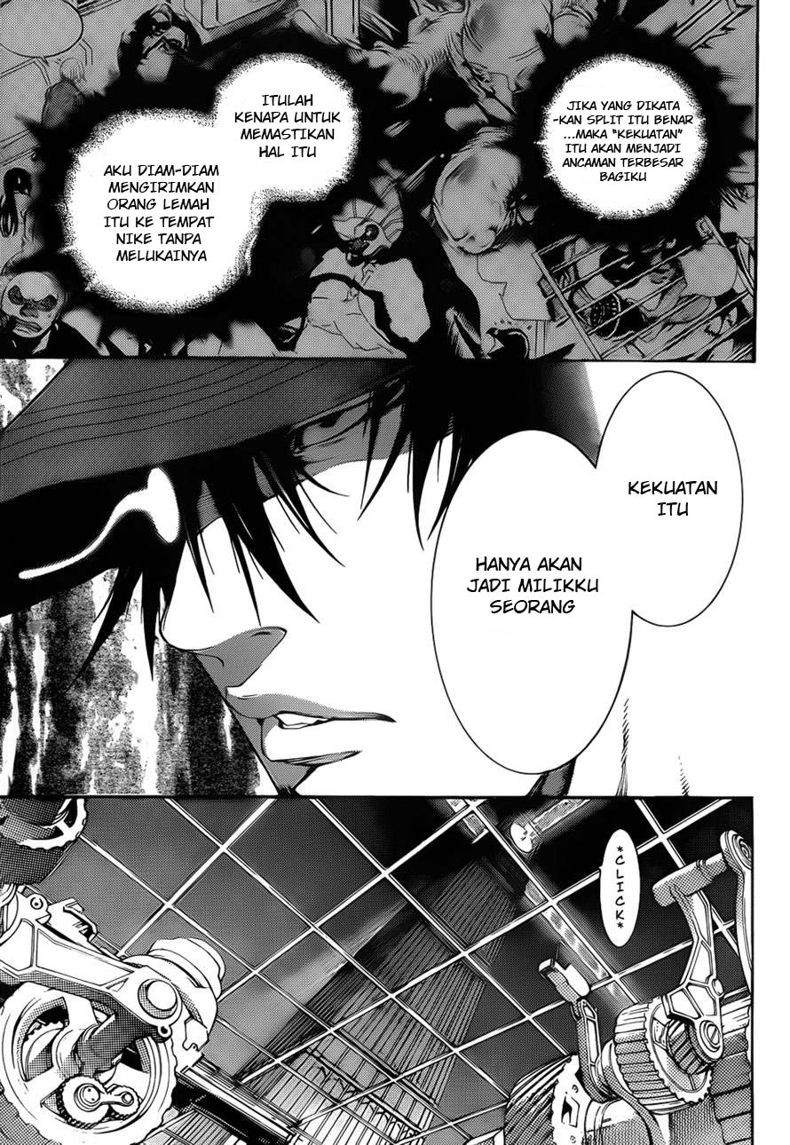 Panel 17