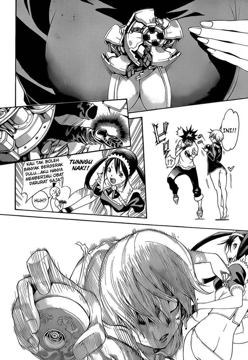Panel 13