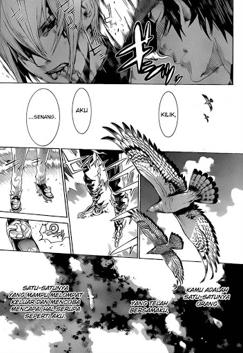 Panel 11