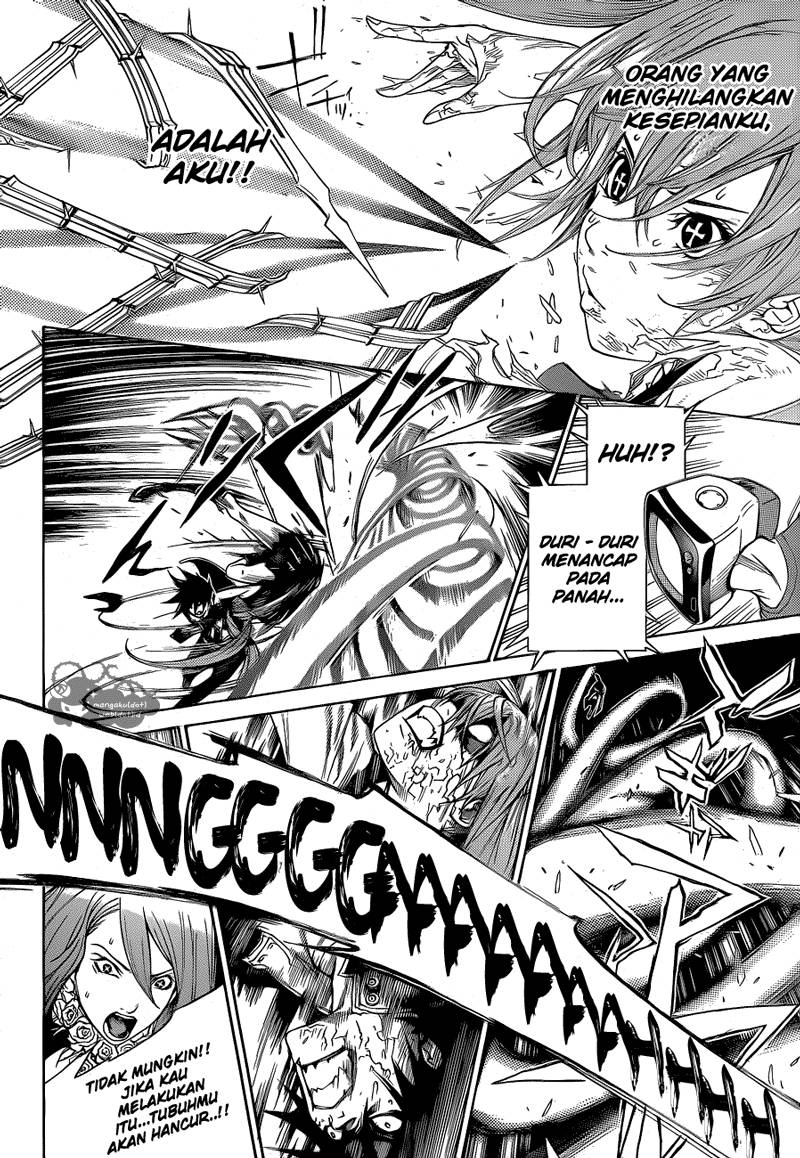 Panel 14