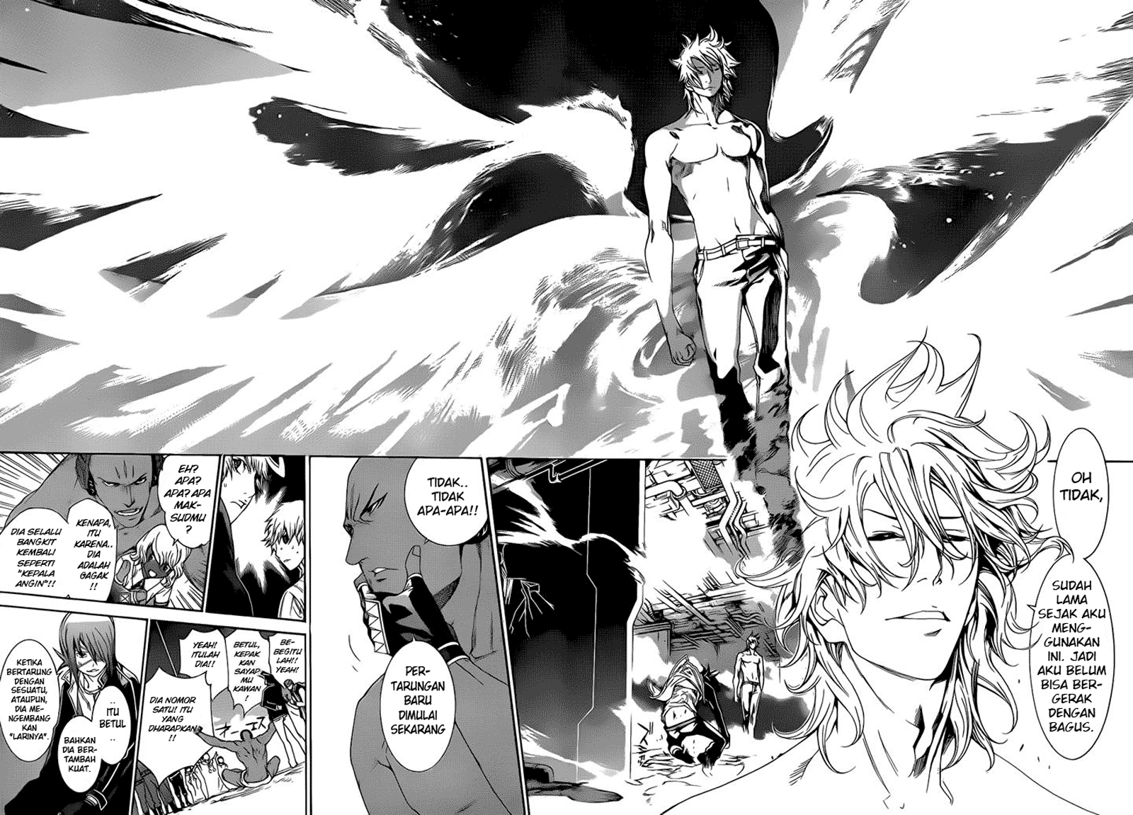 Panel 14