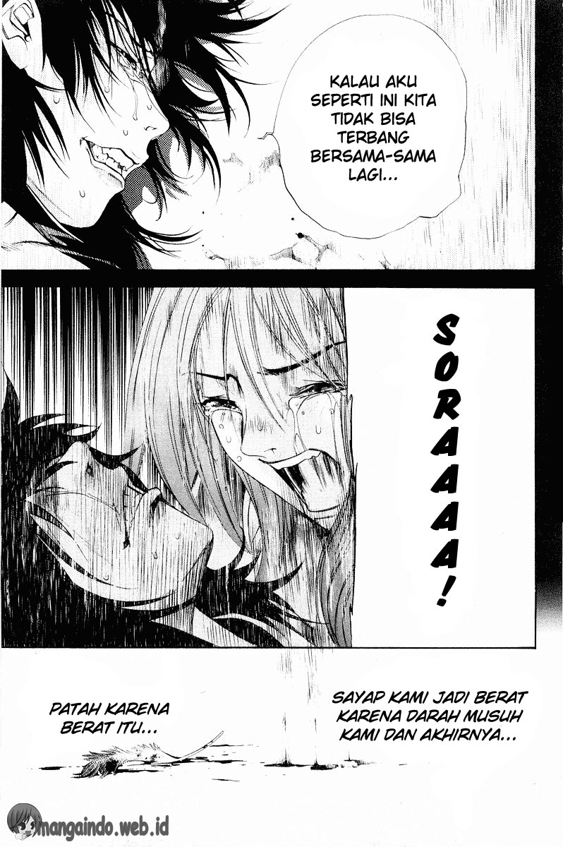 Panel 29