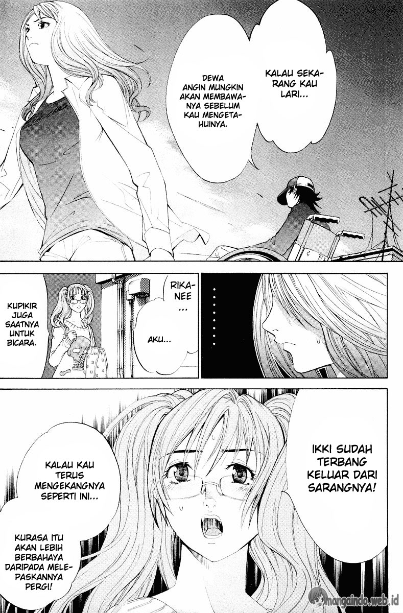 Panel 16