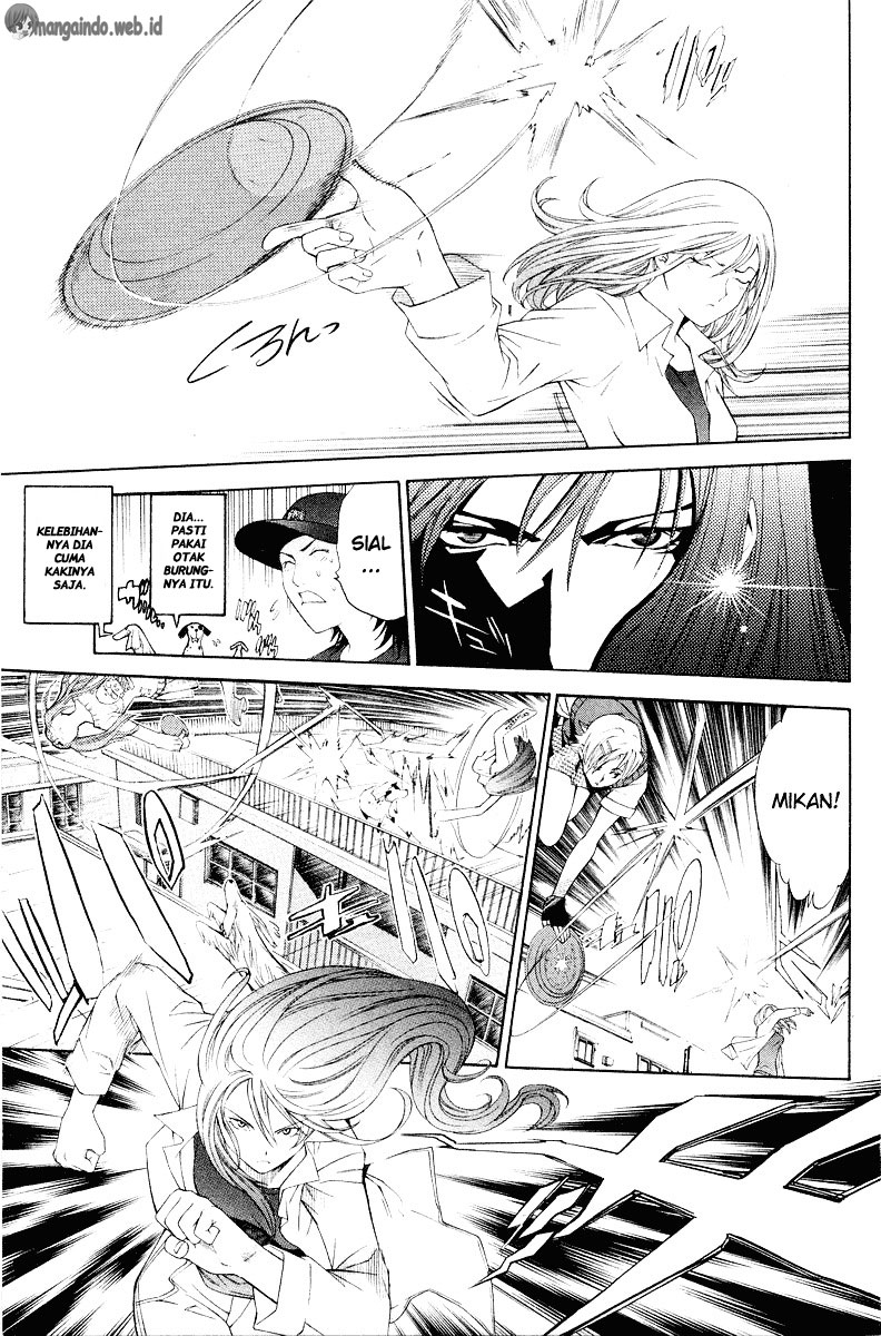 Panel 15
