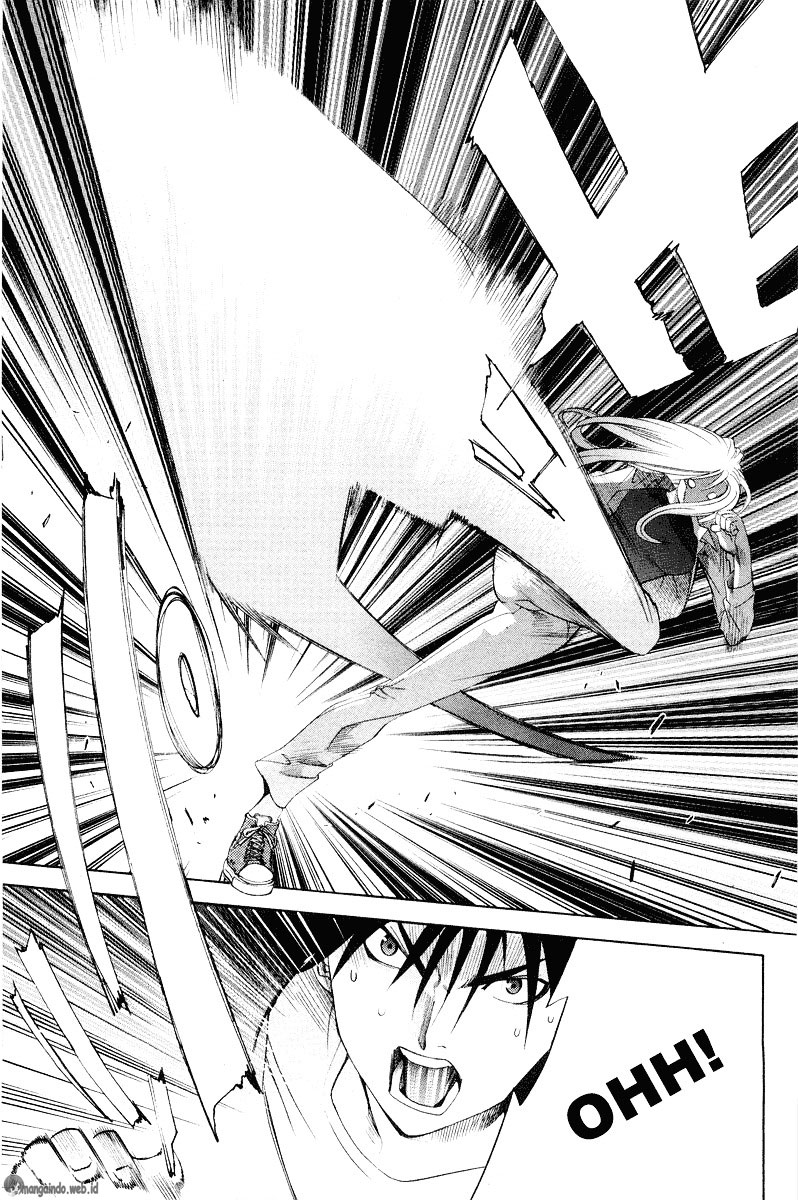 Panel 17