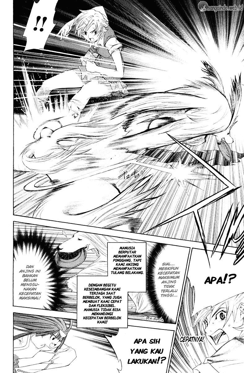 Panel 7