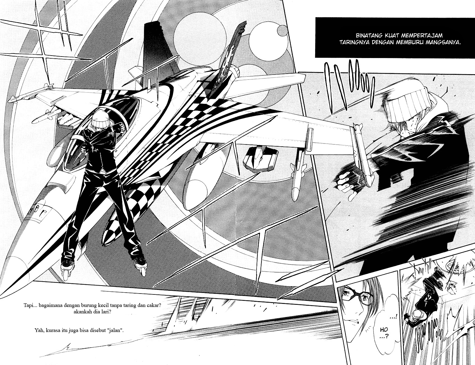 Panel 14