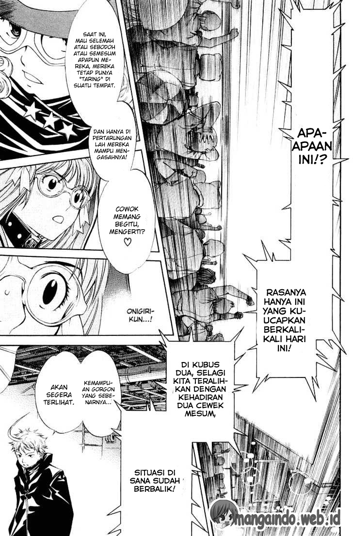 Panel 13
