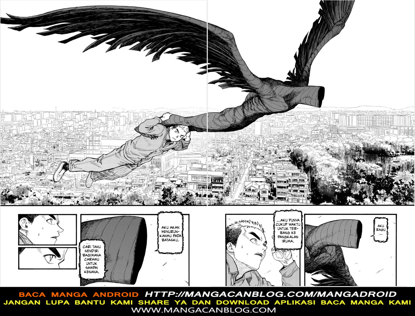 Panel 31