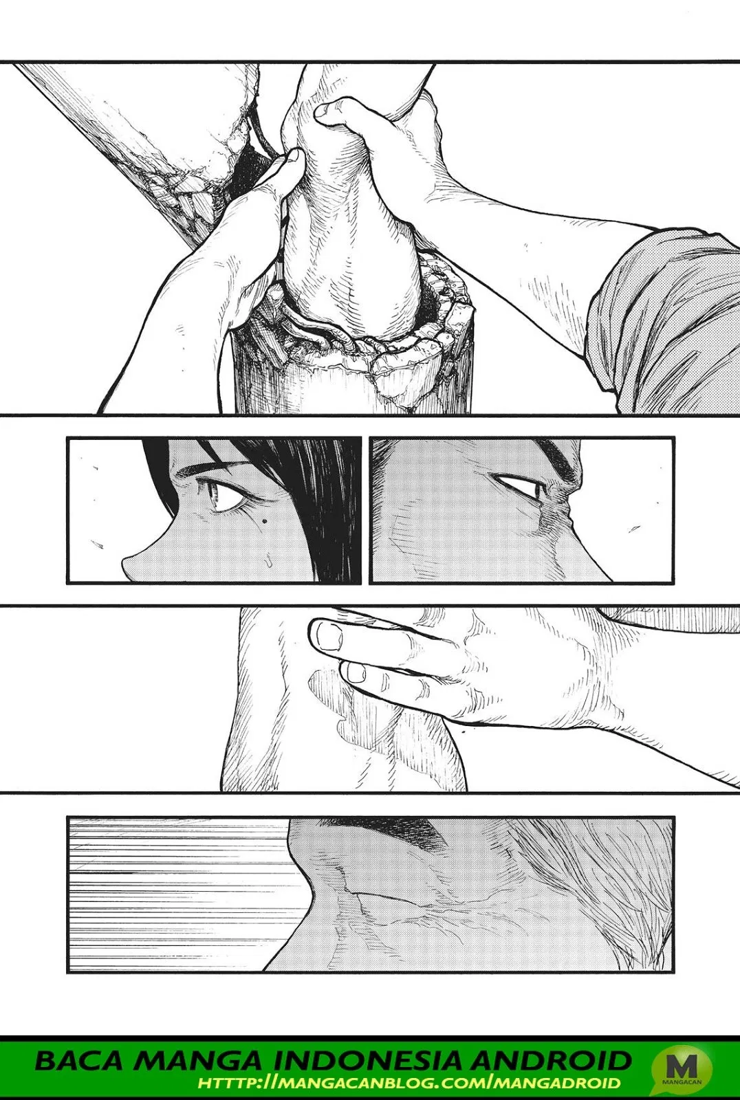 Panel 24