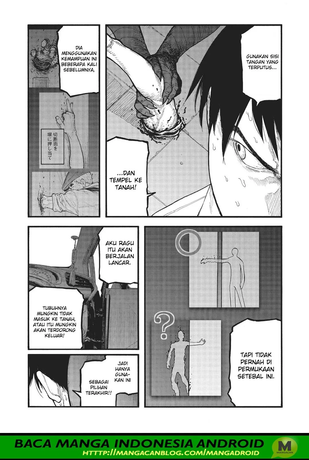 Panel 17