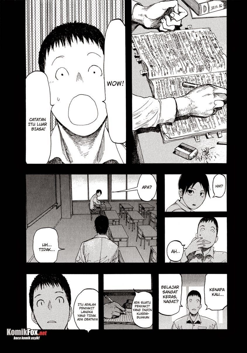Panel 13