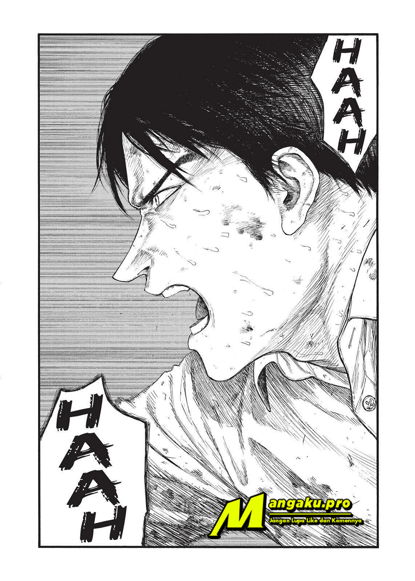 Panel 17