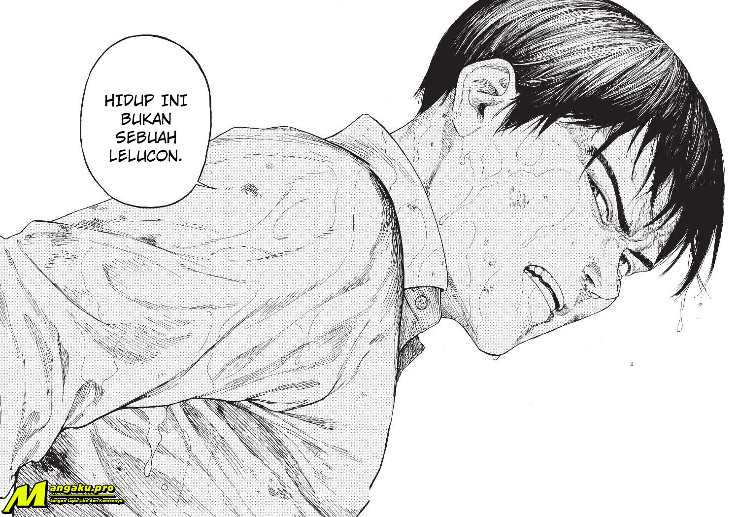 Panel 24