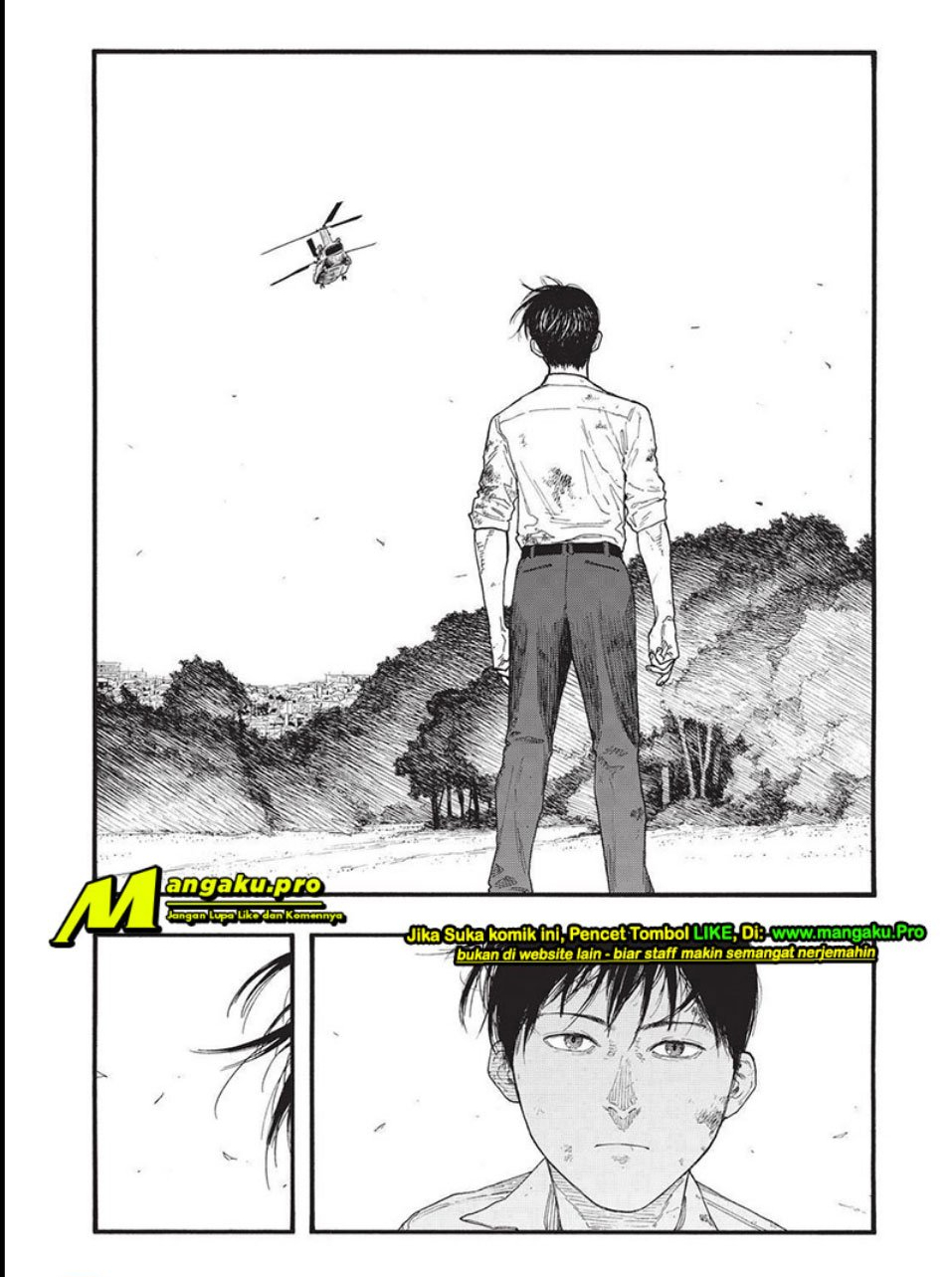 Panel 11