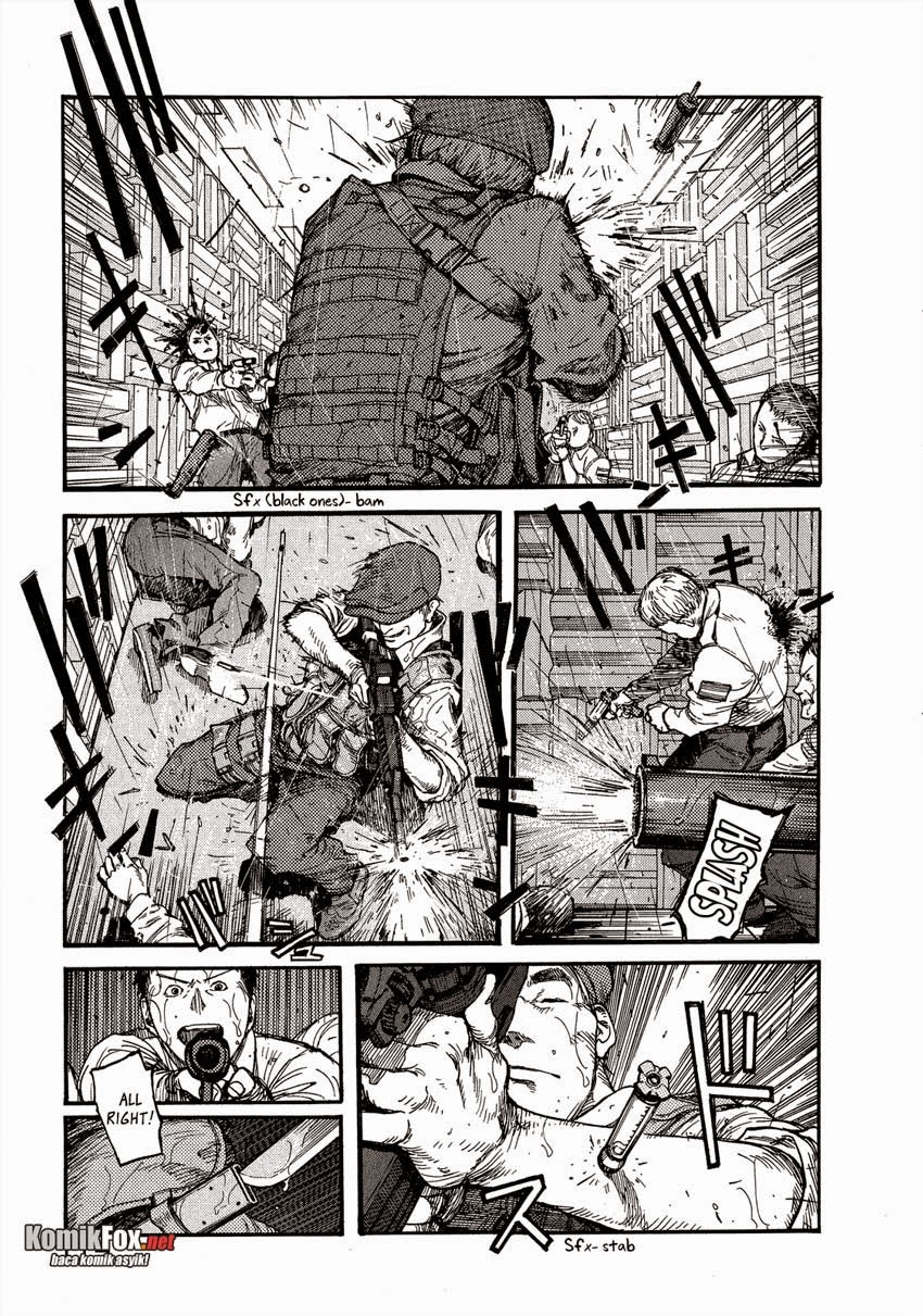 Panel 16
