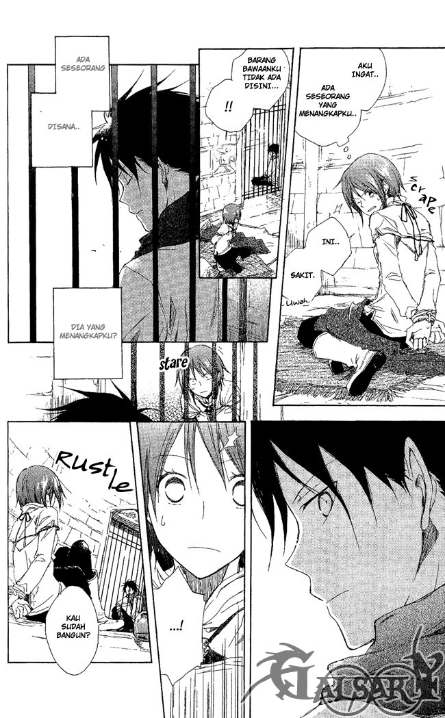 Panel 13