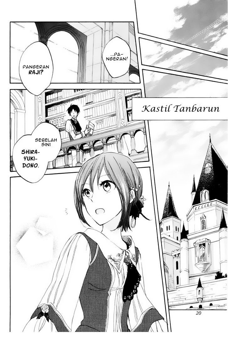Panel 11