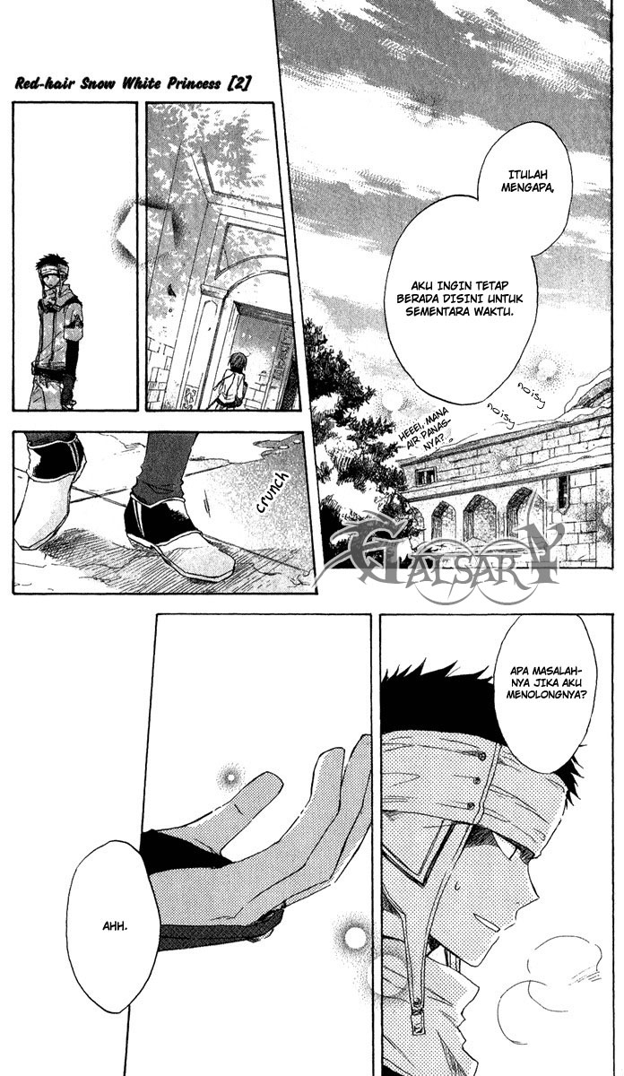 Panel 20