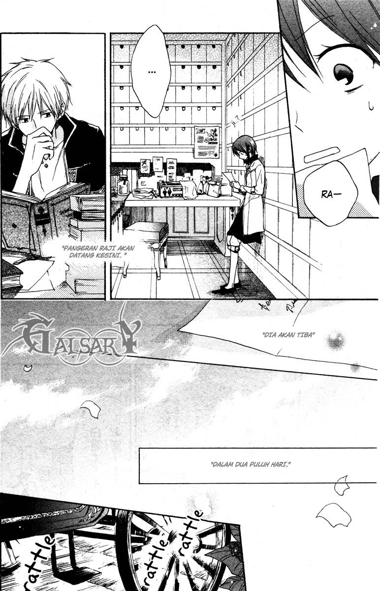 Panel 11