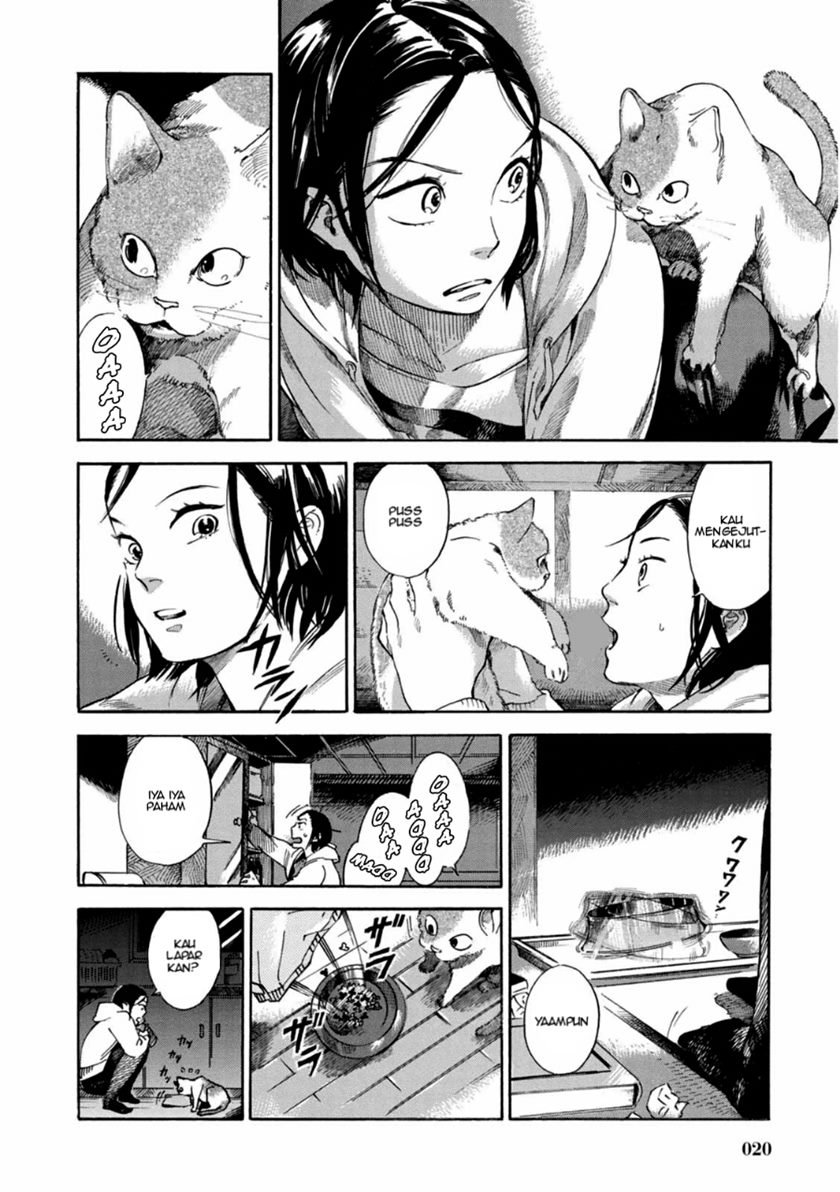 Panel 22