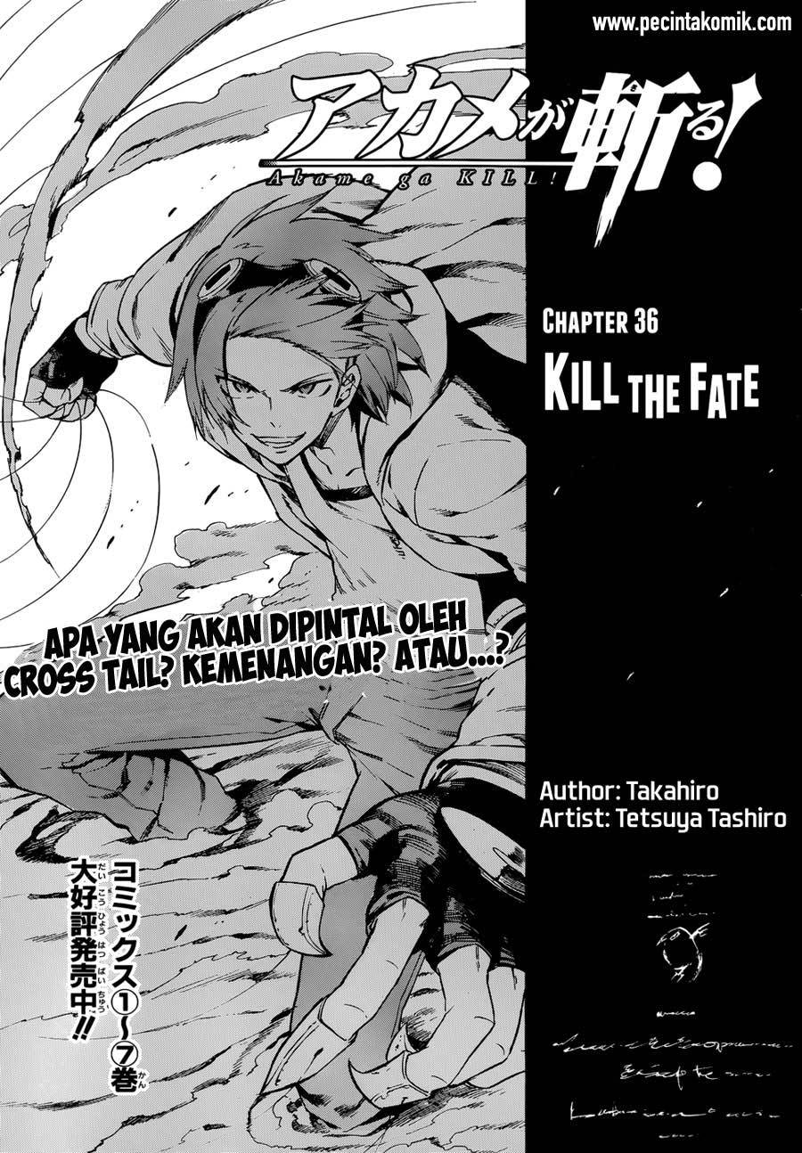 Panel 6