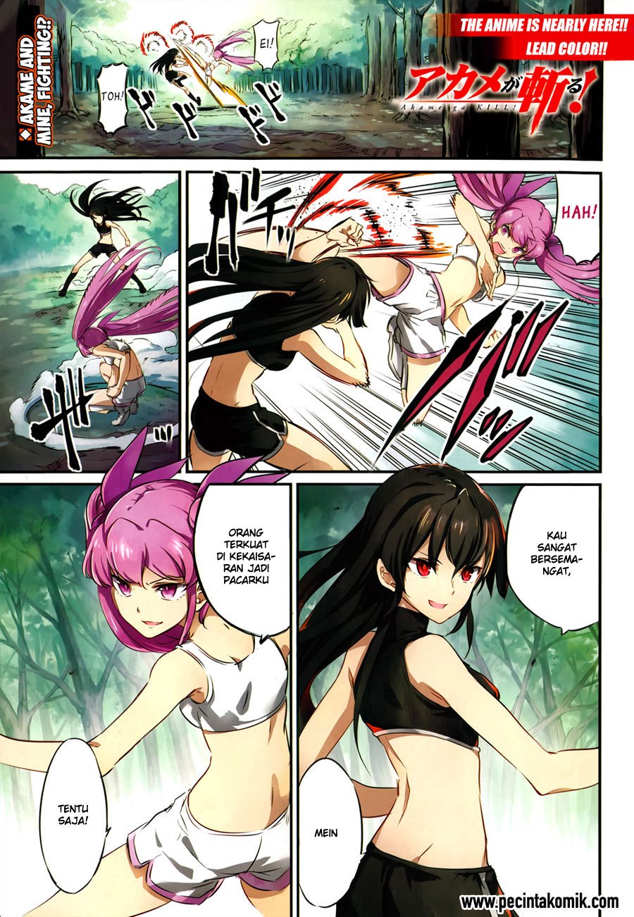 Panel 10