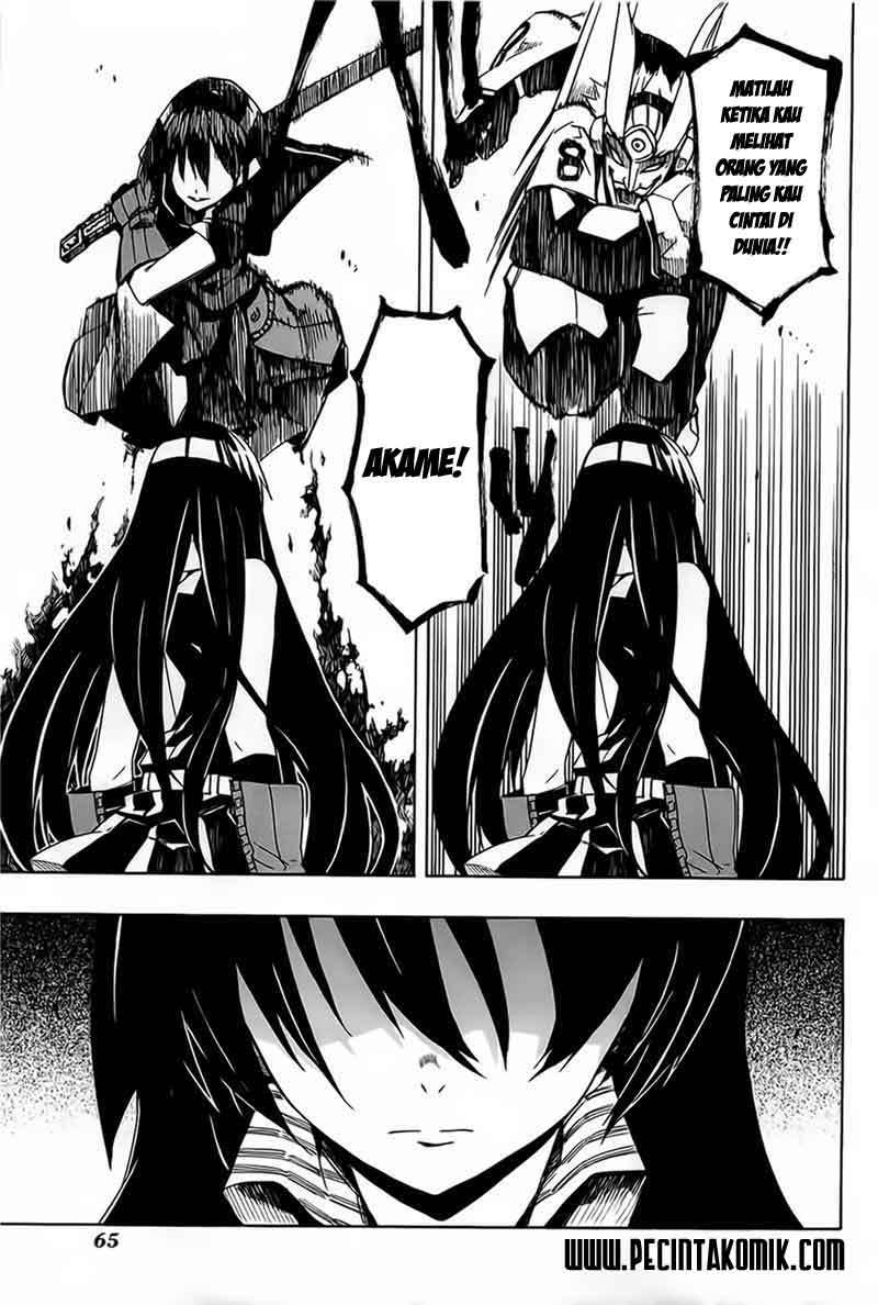 Panel 30