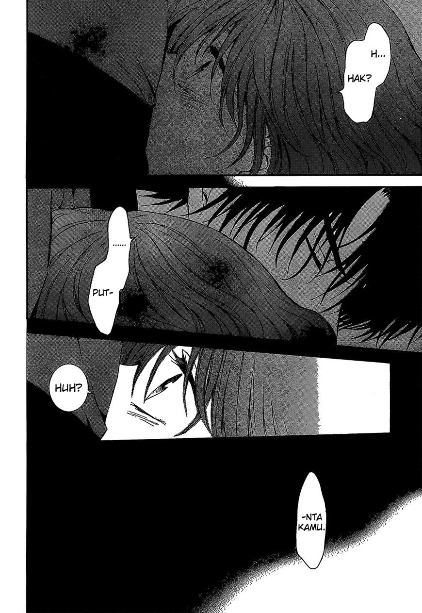 Panel 17