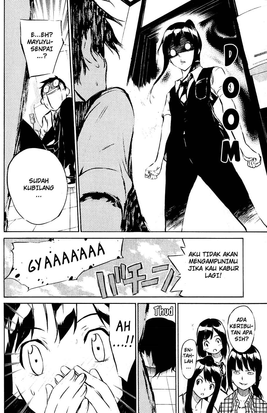 Panel 15