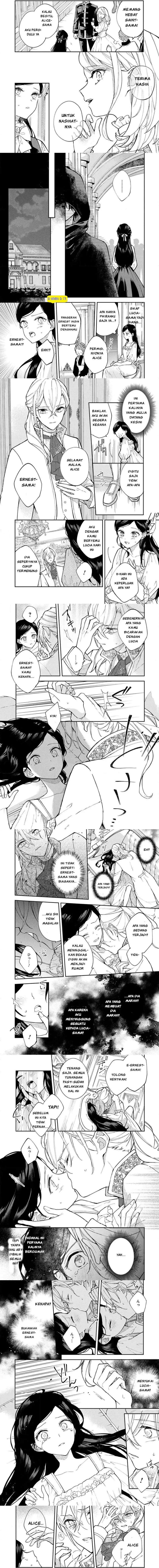 Panel 5