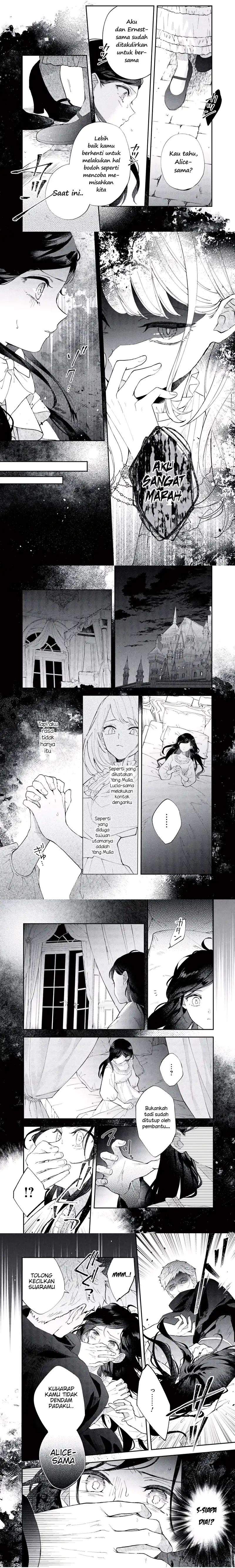 Panel 5