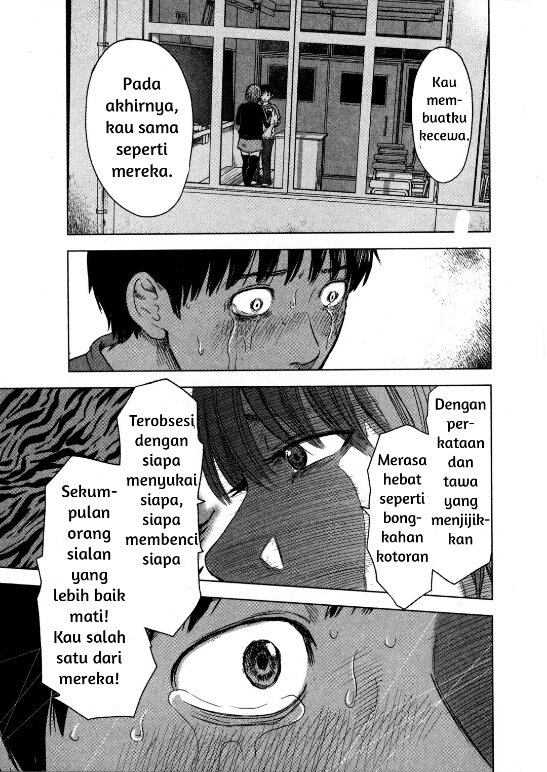 Panel 13