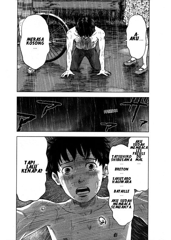 Panel 13