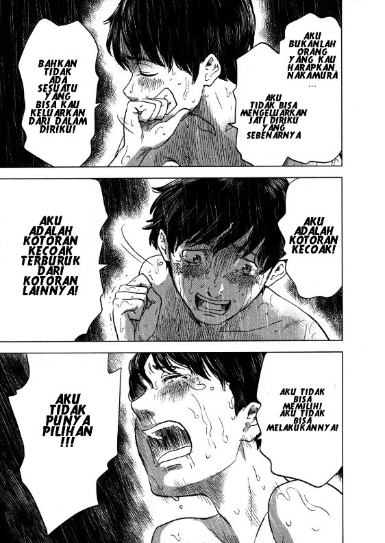 Panel 16