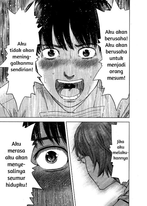 Panel 17