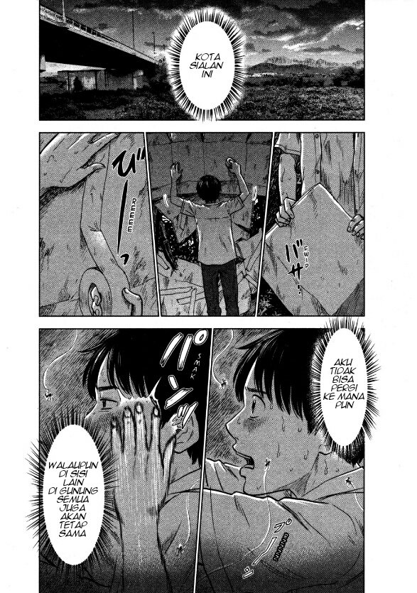 Panel 12