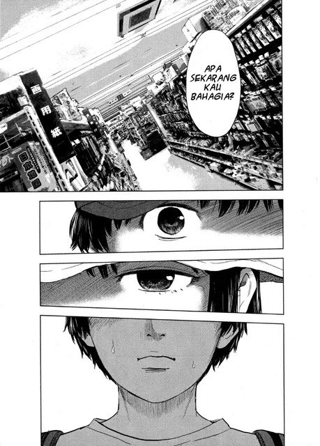 Panel 13