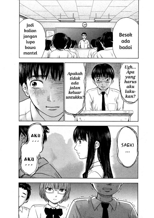 Panel 13