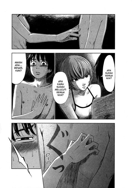 Panel 13
