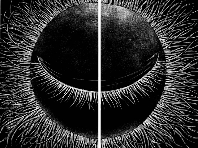 Panel 37